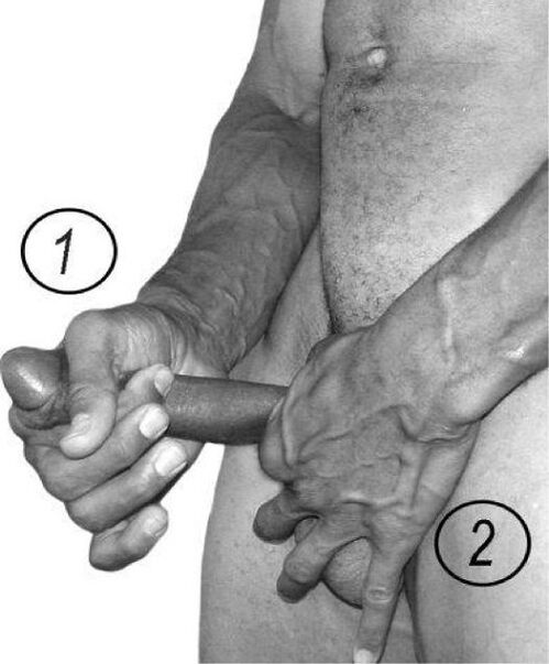 Stretch member increase