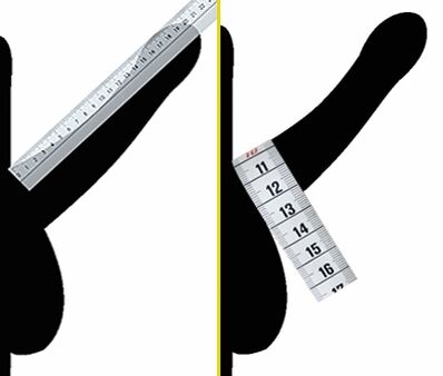 Measure penis diameter before enlargement
